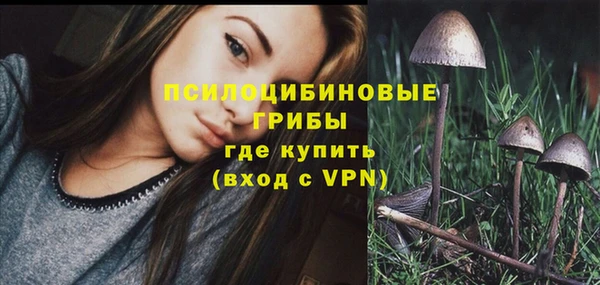 mdpv Вязники