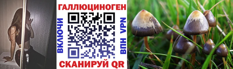 Галлюциногенные грибы ЛСД  Партизанск 